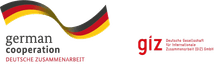 Deutsche Gesellschaft für Internationale Zusammenarbeit (GIZ)
